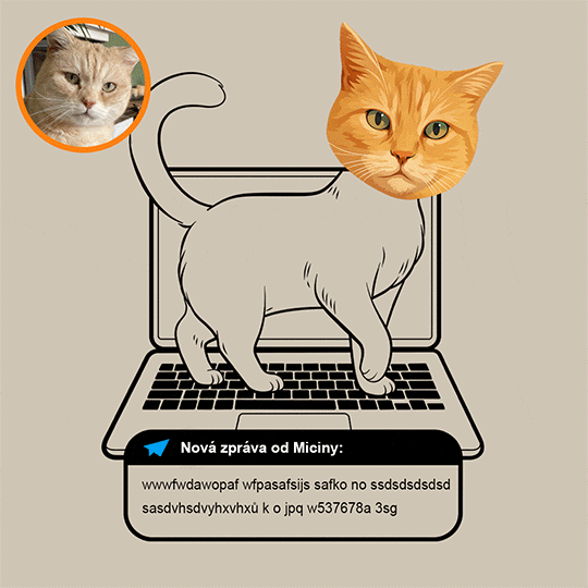 Kočka na klávesnici