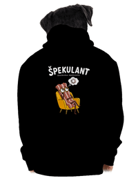 pánská mikina na zip