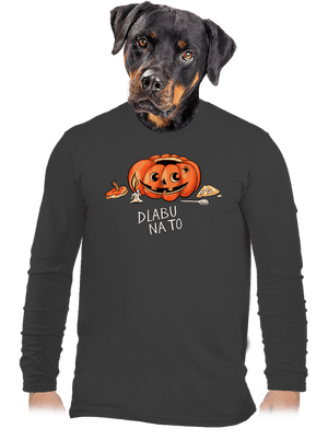 pánské dlouhý rukáv