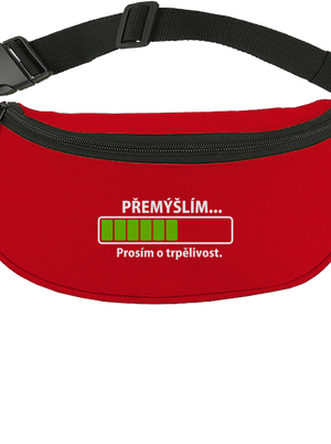 Přemýšlím ledvinka Red