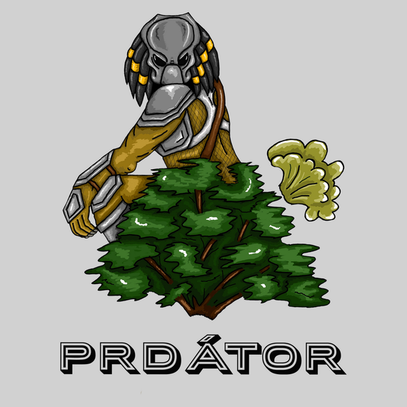 Prdátor