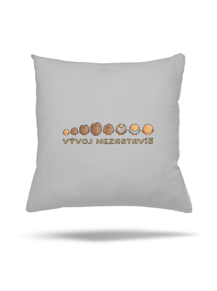 Vývoj nezastavíš polštář Pacific Grey