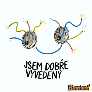 Jsem dobře vyvedený