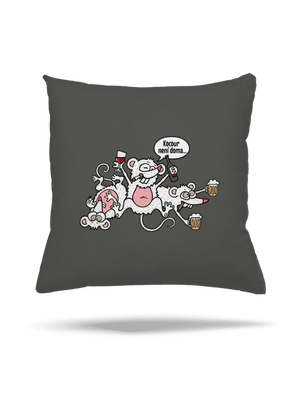 Kocour není doma polštář Gray Pol