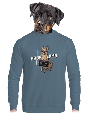 unisex mikina bez kapuce