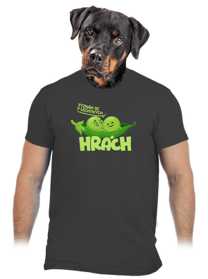 pánské tričko