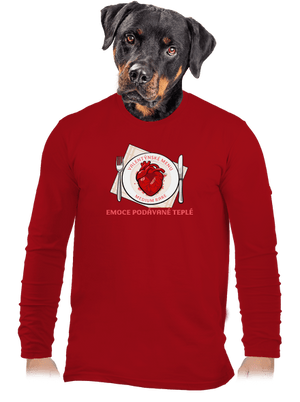 pánské dlouhý rukáv