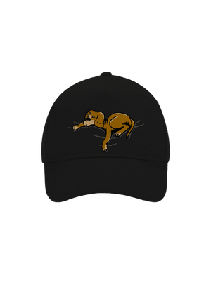 kšiltovka baseballka