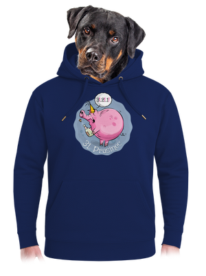 unisex mikina premium