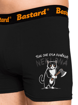 Neklidná kočka boxerky Black