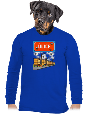 pánské dlouhý rukáv