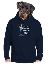 pánská mikina klokanka