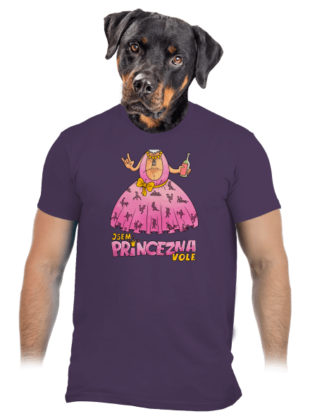Jsem princezna pánské tričko Urban Purple