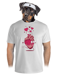 pánské sportovní tričko