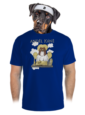 pánské sportovní tričko