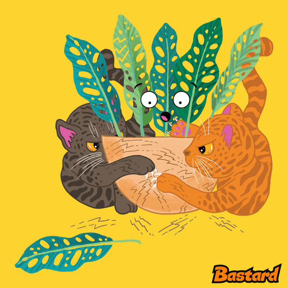 Škrábancový souboj