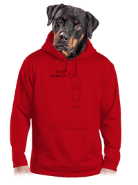 pánská mikina klokanka