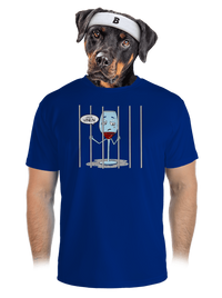 pánské sportovní tričko