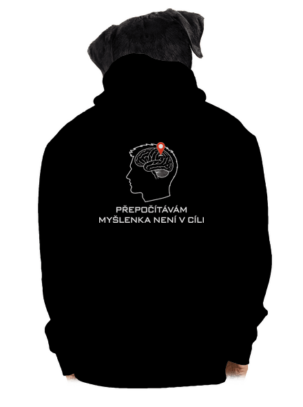 Přepočítávám pánská mikina na zip Black
