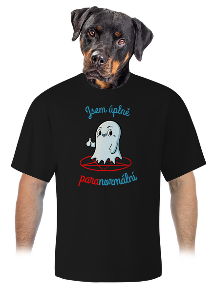 Jsem paranormální unisex tričko oversized Black