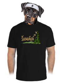 pánské sportovní tričko