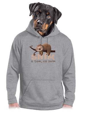 Sním o tom, co sním pánská mikina klokanka Light Melange