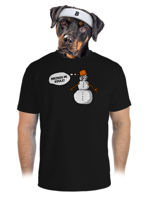 pánské sportovní tričko