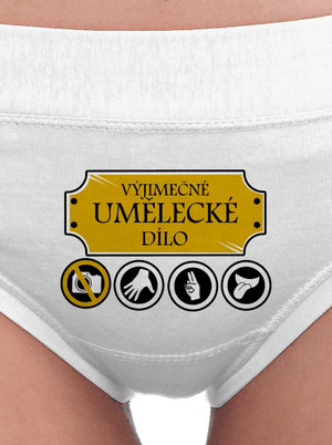 Umělecké dílo dámské kalhotky White