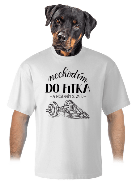 B12: Nechodim do fitka unisex tričko oversized White