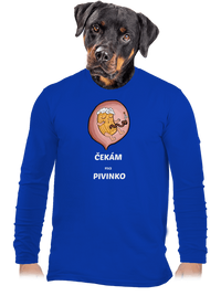pánské dlouhý rukáv