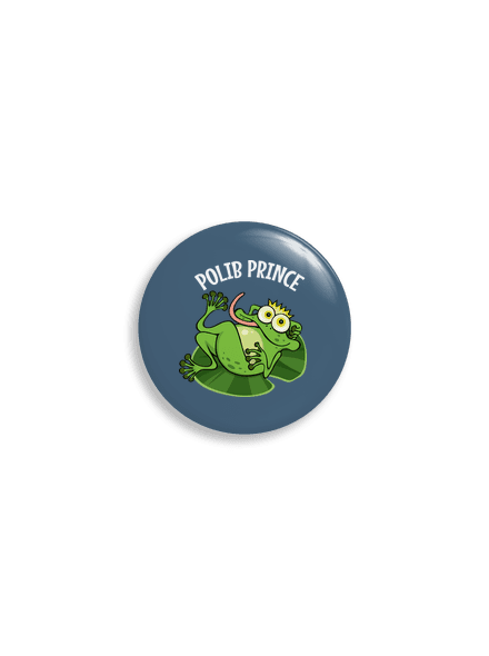 Polib princeznu a prince placka uni