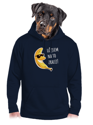 pánská mikina klokanka