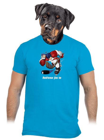 Natřeme jim to - Hokej pánské tričko Atoll