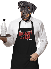 zástěra
