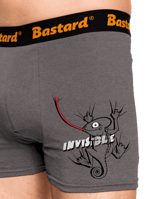 Invisible chameleon boxerky Gray Melange