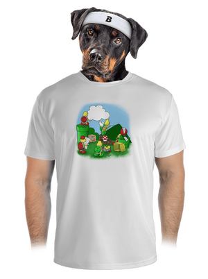 Jak se staví nový level? pánské sportovní tričko White