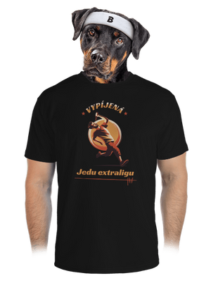 pánské sportovní tričko