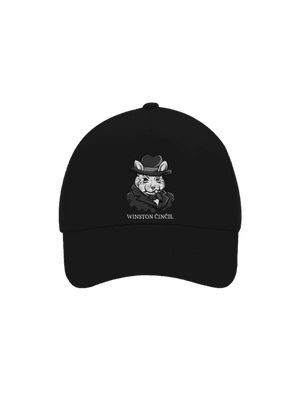 kšiltovka baseballka