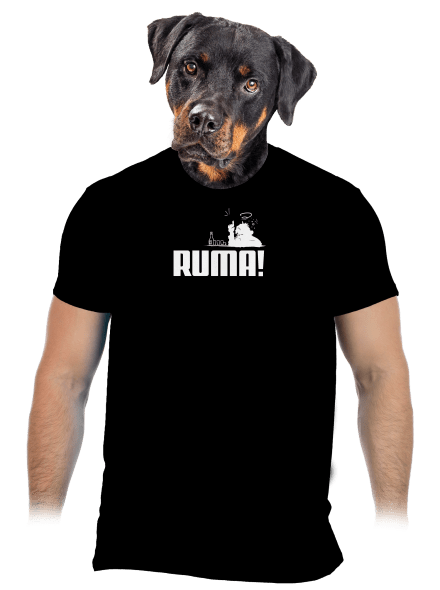 Ruma pánské tričko Black