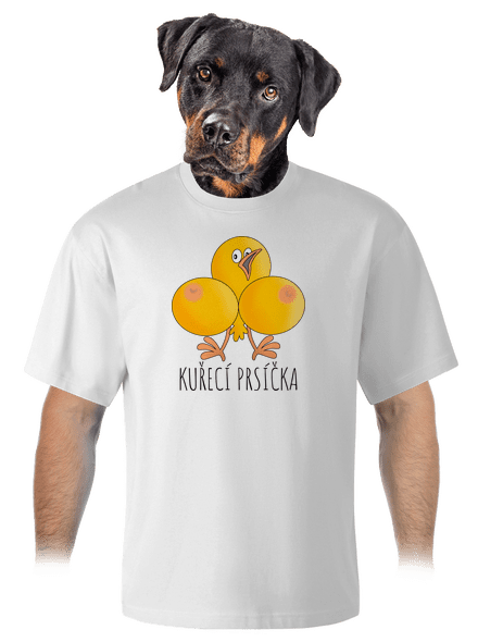 Kuřecí prsíčka unisex tričko oversized White