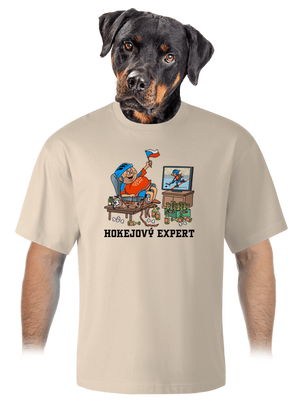 Hokejový expert unisex tričko oversized Almond