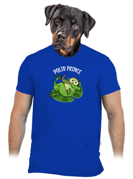 Polib princeznu a prince pánské tričko Royal Blue