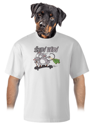 Šedí vědí - myšák unisex tričko oversized White