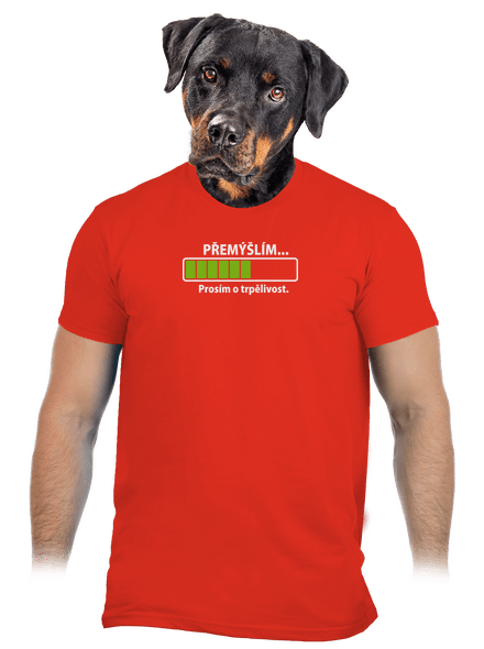 Přemýšlím pánské tričko Fiery Red