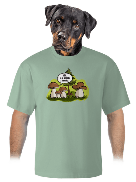 Strejda z Ameriky unisex tričko oversized Sage
