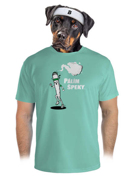 Pálím špeky pánské sportovní tričko Mint Mal