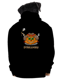 pánská mikina na zip