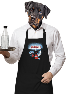 zástěra