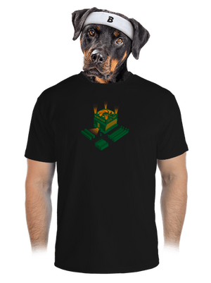 pánské sportovní tričko