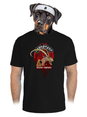 pánské sportovní tričko